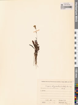 MAG 0023467