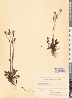 MAG 0023475