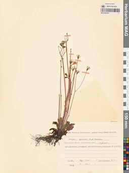 MAG 0023476