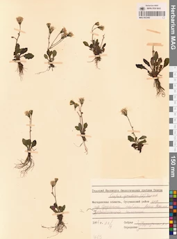 MAG 0023482