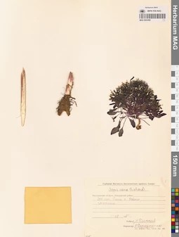 MAG 0023496