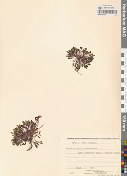 MAG 0023542
