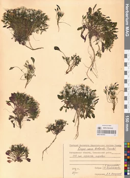 MAG 0023543