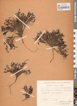 MAG 0023551