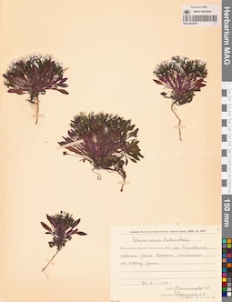 MAG 0023552