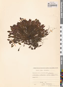 MAG 0023568