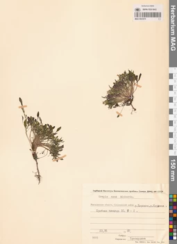 MAG 0023570
