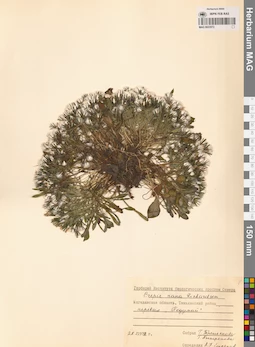 MAG 0023572