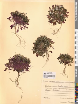 MAG 0023574