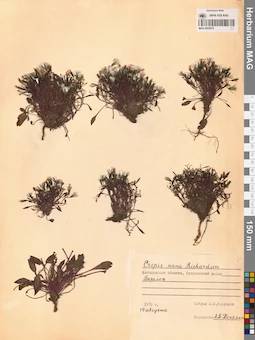 MAG 0023576