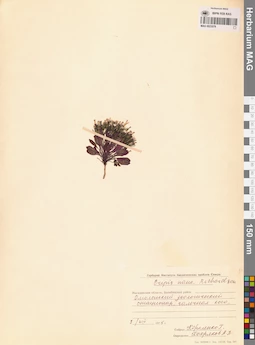 MAG 0023579