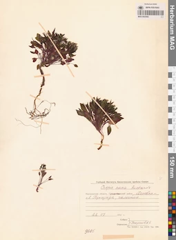 MAG 0023582