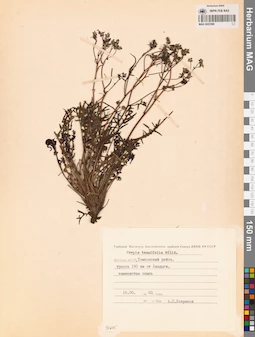 MAG 0023588