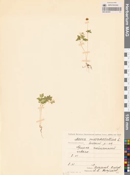 MAG 0023654