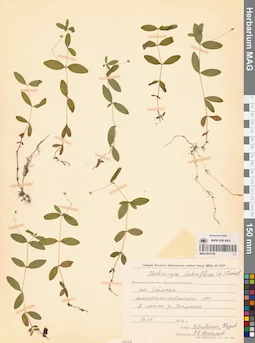 MAG 0023766
