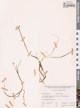 MAG 0024152
