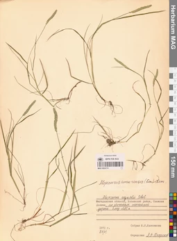 MAG 0024174