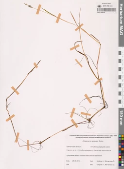 MAG 0024191