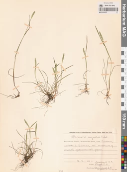 MAG 0024223