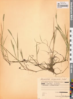 MAG 0024230