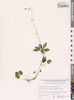 MAG 0024328