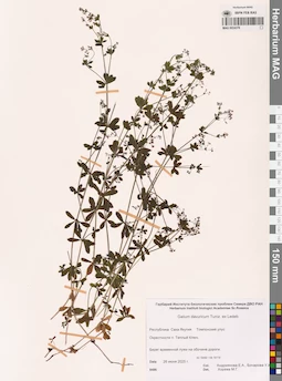 MAG 0024378