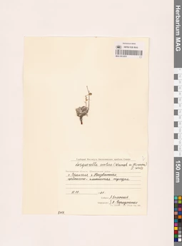 MAG 0012655