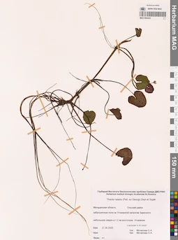 MAG 0024422