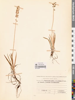 MAG 0024899