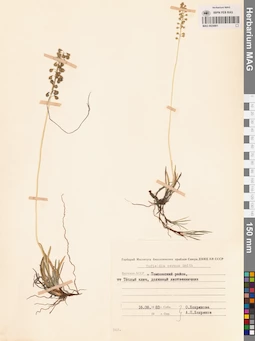 MAG 0024901